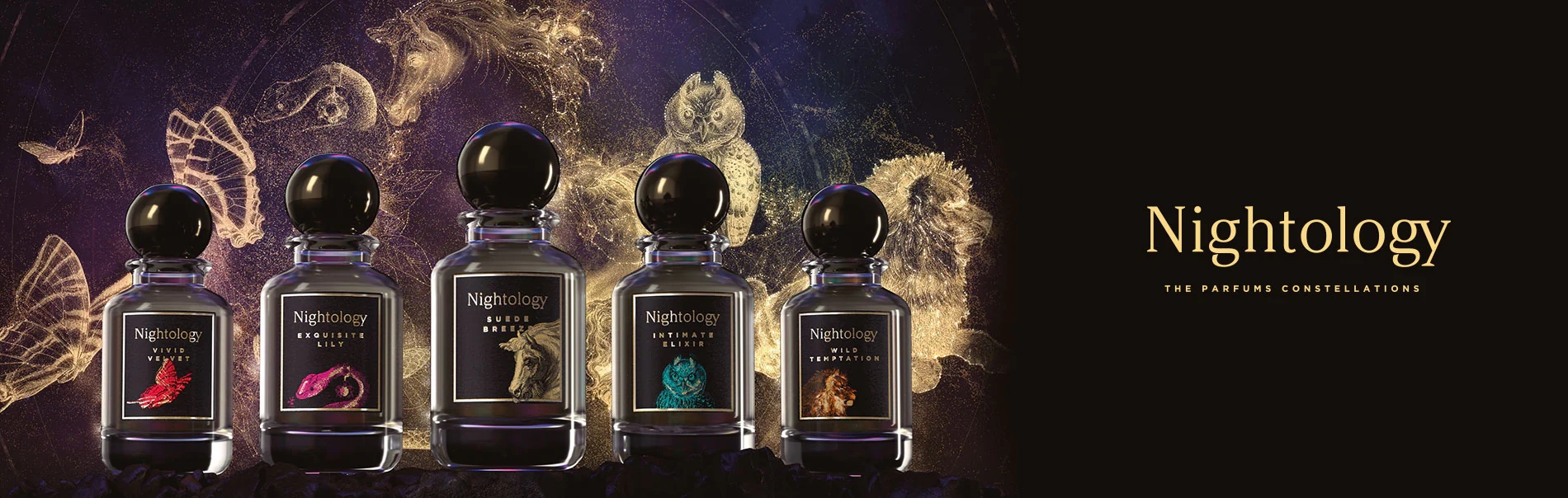 NIGHTOLOGY