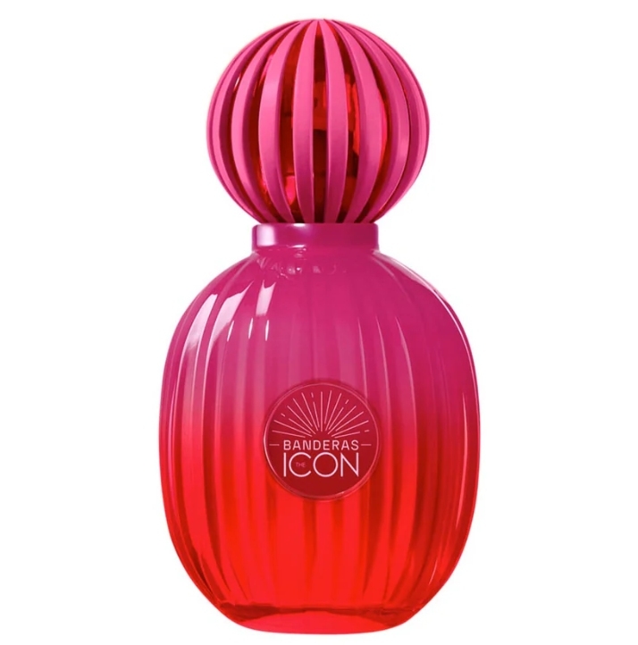 The Icon Women Supreme Intense 